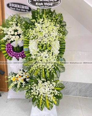 Kệ Hoa Chia Buồn Bạn Học Lan Thái Trắng Thanh Khiết